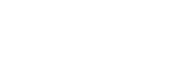 Bosch Logo