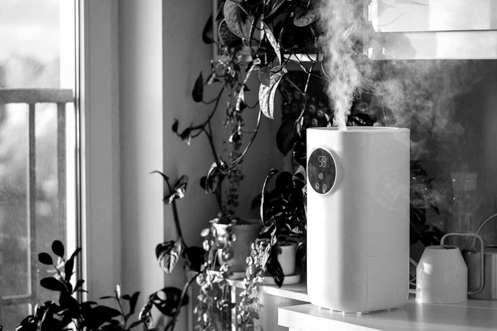 Revolutionizing Indoor Air Quality for Wellness