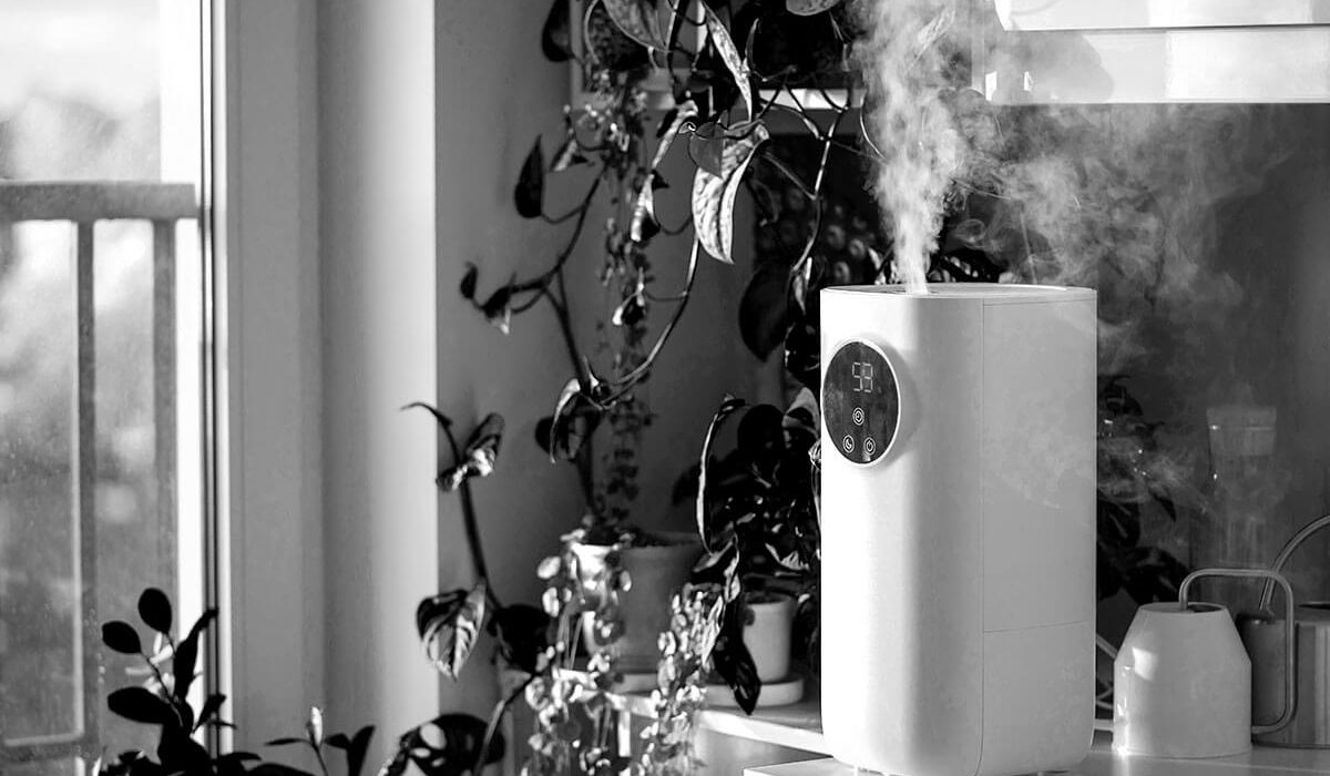 Revolutionizing Indoor Air Quality for Wellness